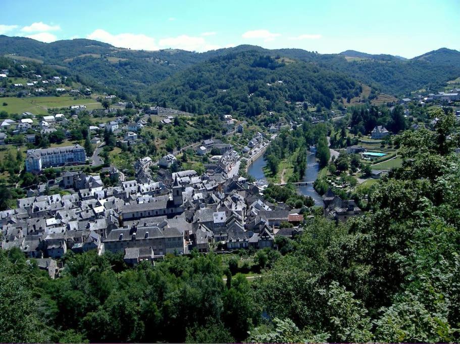 Vue Du Pont Apartment Entraygues-sur-Truyère Екстериор снимка