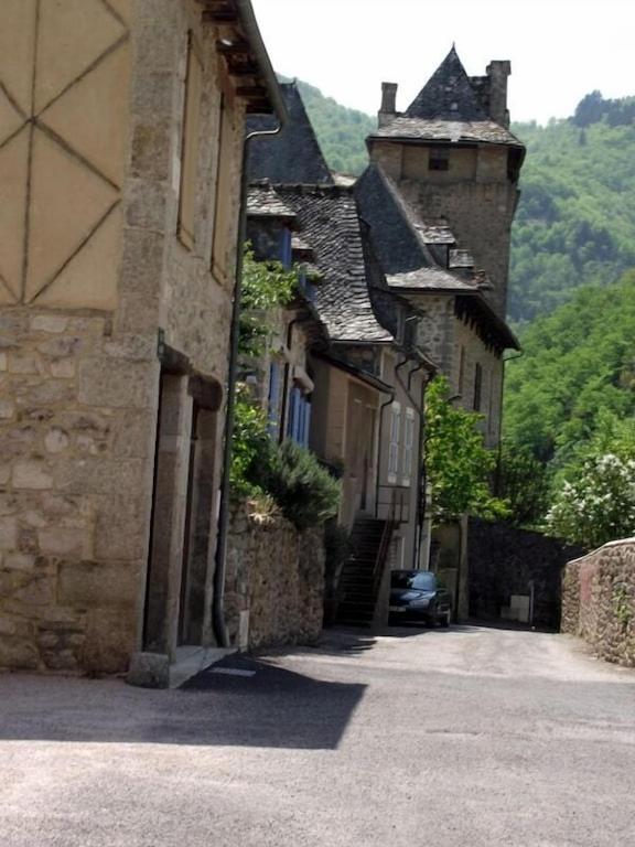 Vue Du Pont Apartment Entraygues-sur-Truyère Екстериор снимка